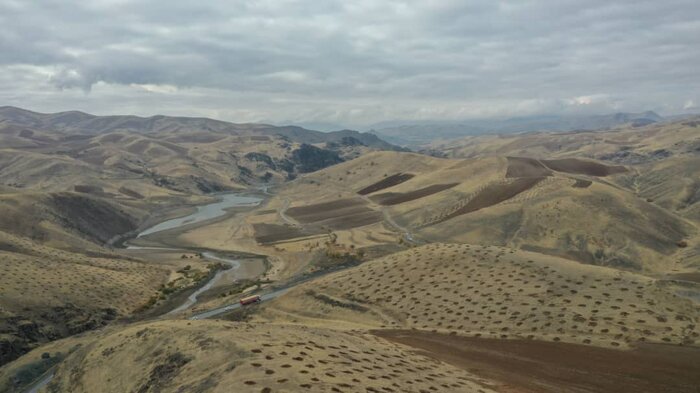 بیش از ۲ میلیارد تومان برای توسعه جنگل‌های کردستان هزینه می‌شود