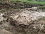 بارندگی به بخش کشاورزی حاجی‌آباد هرمزگان ‌ خسارت زد