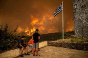 یونان در آتش به روایت تصویر؛ جنگل هایی که خاکستر شد