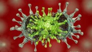 دویچه وله: گونه‌های جدید ویروس کرونا در آسیا جهان را تهدید می‌کنند