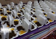 بیش‌از ۳۲ هزار پرس غذای گرم در بنجار زابل توزیع شد