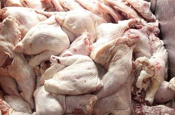 بیش از ۲.۵ تن گوشت سفید غیر قابل مصرف در زاهدان معدوم شد