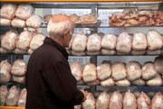 توزیع ٨۵٠ تن گوشت مرغ منجمد در سیستان وبلوچستان آغاز شد