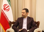 دیدار هیأت رئیسه فراکسیون ایرانیان خارج از کشور با معاون کنسولی ظریف