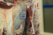 مدیرکل دامپزشکی ایلام: خریداران گوشت مصرفی خود را از مراکز مورد تایید تهیه کنند