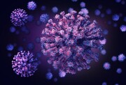 ۳بیمار مبتلا به ویروس کرونای دلتا در چهارمحال وبختیاری شناسایی شد
