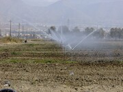 بیش‌از۴٧هزار هکتار اراضی کشاورزی سیستان و بلوچستان به سامانه نوین آبیاری مجهز شد