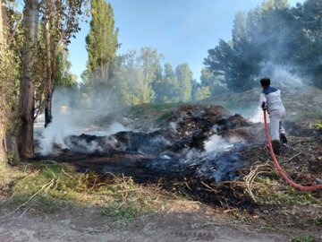 آتش سوزی به تنوع زیستی منطقه حفاظت شده مله گاله فارس زیان رساند