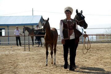 جشنواره اسب اصیل ترکمن با معرفی اسب‌های برتر در بجنورد پایان یافت