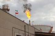 همکاری مشترک پژوهشگران دانشگاه شیراز و محققان خارجی در طرح‌های نفتی