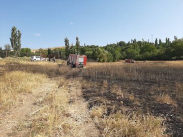 ۹۹ درصد آتش سوزی ها در ایلام مربوط به پس چرای مزارع است