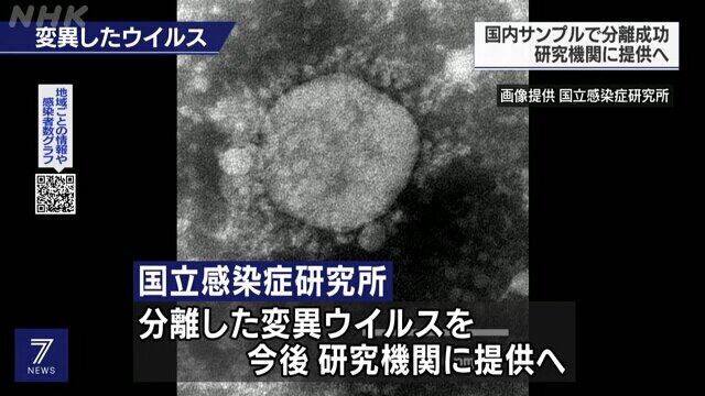 متخصصان ژاپنی نسخه جدید ویروس کرونا را جداسازی کردند