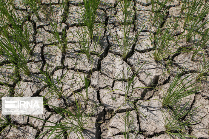 خشکسالی و وقوع سیل ناگهانی استان کرمانشاه را تهدید می‌کند