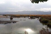 آب دریاچه زریبار مریوان ۴۰ درصد کاهش یافت