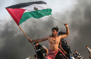 مبارز فلسطینی مقام نخست مسابقه عکس «ایپا» را دریافت کرد

