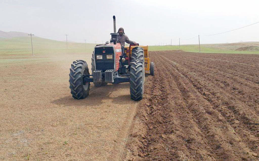 ۳۶ هزار هکتار از مزارع آذربایجان‌غربی به کشت جو اختصاص یافت