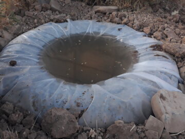 ساخت آبشخور برای حیات وحش در ارتفاعات شهر میرآباد