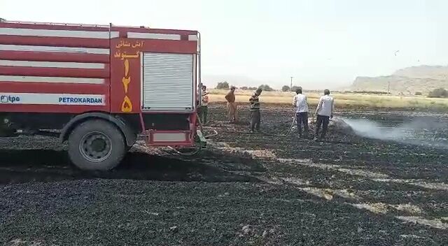آتش‌سوزی در مزارع کشاورزی گتوند مهار شد