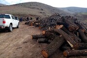 ۳۰ تُن چوب قاچاق در مهاباد کشف شد