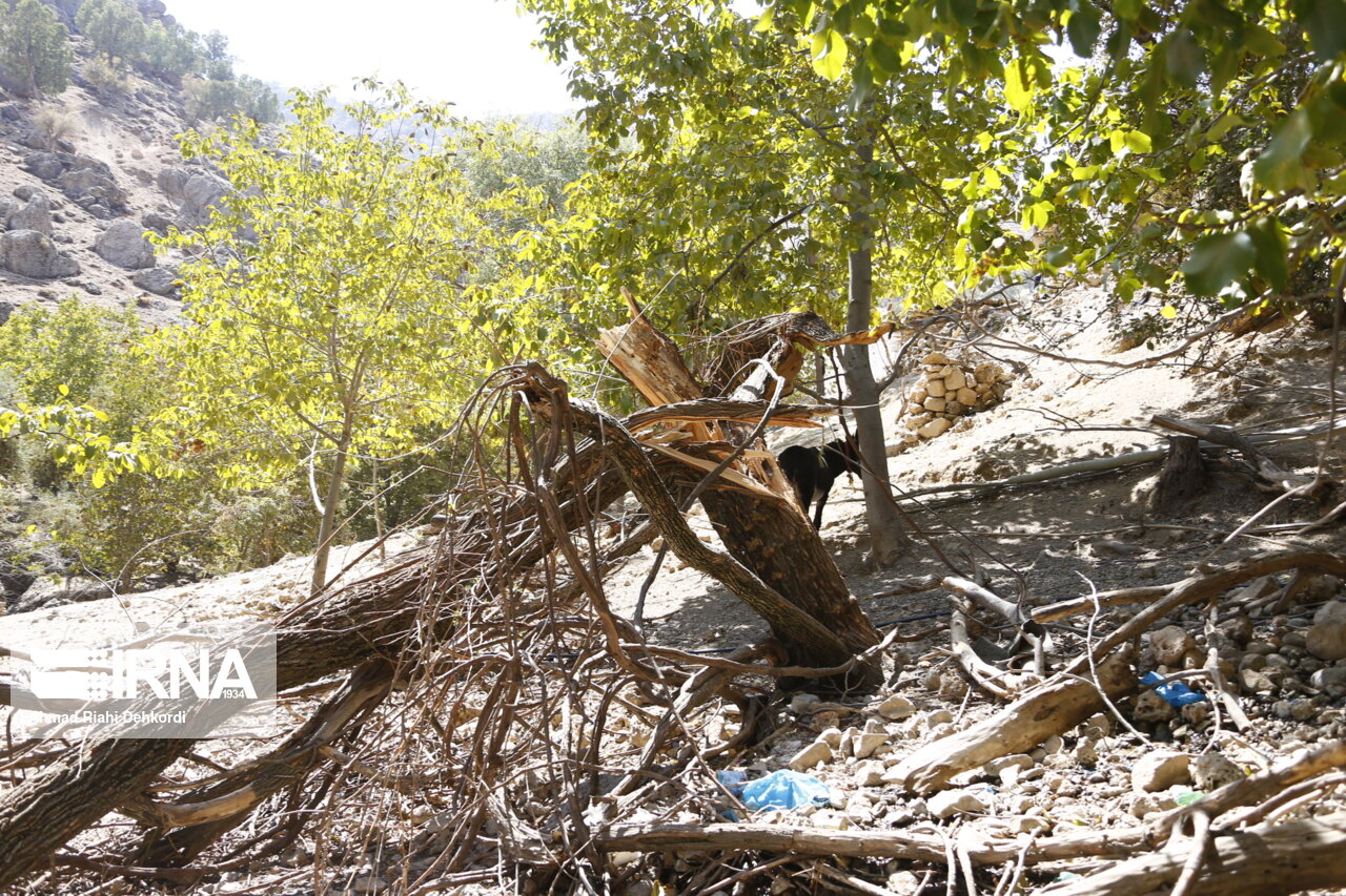 خسارتی از زلزله گندمان شهرستان بروجن گزارش نشده است