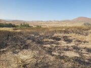 آتش‌سوزی در مزارع کشاورزی شهرکرد مهار شد