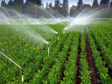 ۱۲۶ میلیون متر مکعب آب در بخش کشاورزی خراسان رضوی صرفه‌جویی شد