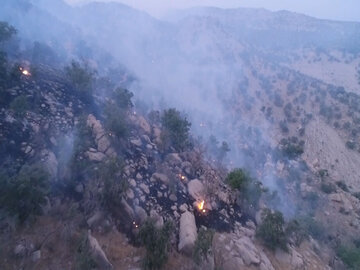۳ بالگرد برای کمک به مهار آتش در ارتفاعات گچساران اعزام شد