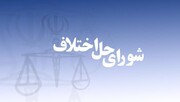 رسیدگی پرونده‌ها در شوراهای حل اختلاف تابع قوانین آیین دادرسی می‌شود