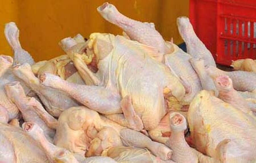 ۱۰ میلیارد تومان تخلف بازار مرغ در چهارمحال و بختیاری شناسایی شد