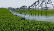۵۷درصد اراضی کشاورزی چهارمحال وبختیاری به آبیاری نوین مجهز شد