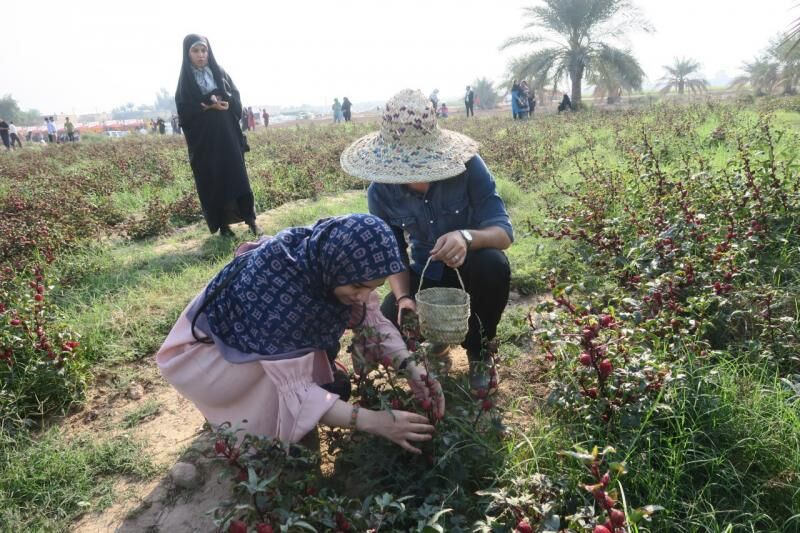 حدود ۴٠ هزار تن محصول کشاورزی در تفتان سیستان و بلوچستان تولید می‌شود