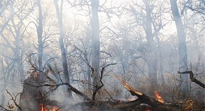 توانمندی‌سازی بومیان راهبرد موثر برای مهار آتش‌ در جنگلها