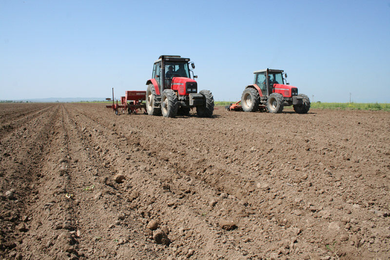 کشاورزان گلستان برای قرارداد کشت پاییزه اقدام کنند/ تداوم حمایت از تولید در دیمزارها