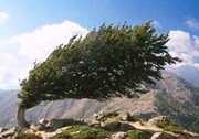 سرعت وزش باد در آذربایجان‌غربی به ۹۰ کیلومتر بر ساعت می‌رسد