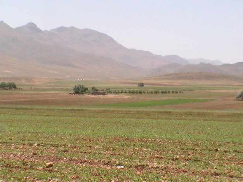 دیمزارهای خراسان شمالی خشکیده‌اند