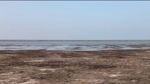 ناامیدی خلیج گرگان با انسداد تدریجی چپاقلی تنها کانال ورودی آب  