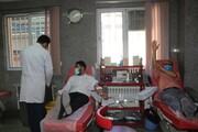 خبرنگاران میاندوآبی خون خود را به نیازمندان اهدا کردند