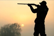 از دستگیری شکارچی غیرمجاز در ملارد تا ضبط ادوات شکارچیان اسلامشهر