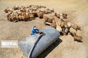 عشایر خراسان شمالی چاه‌های آب کشاورزان را اجاره می‌کنند