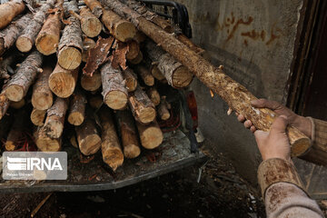 ۱۰۰ اصله چوب‌آلات جنگلی قاچاق در اردبیل کشف  شد