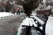 بارش پراکنده برف استان همدان را فرا می‌گیرد