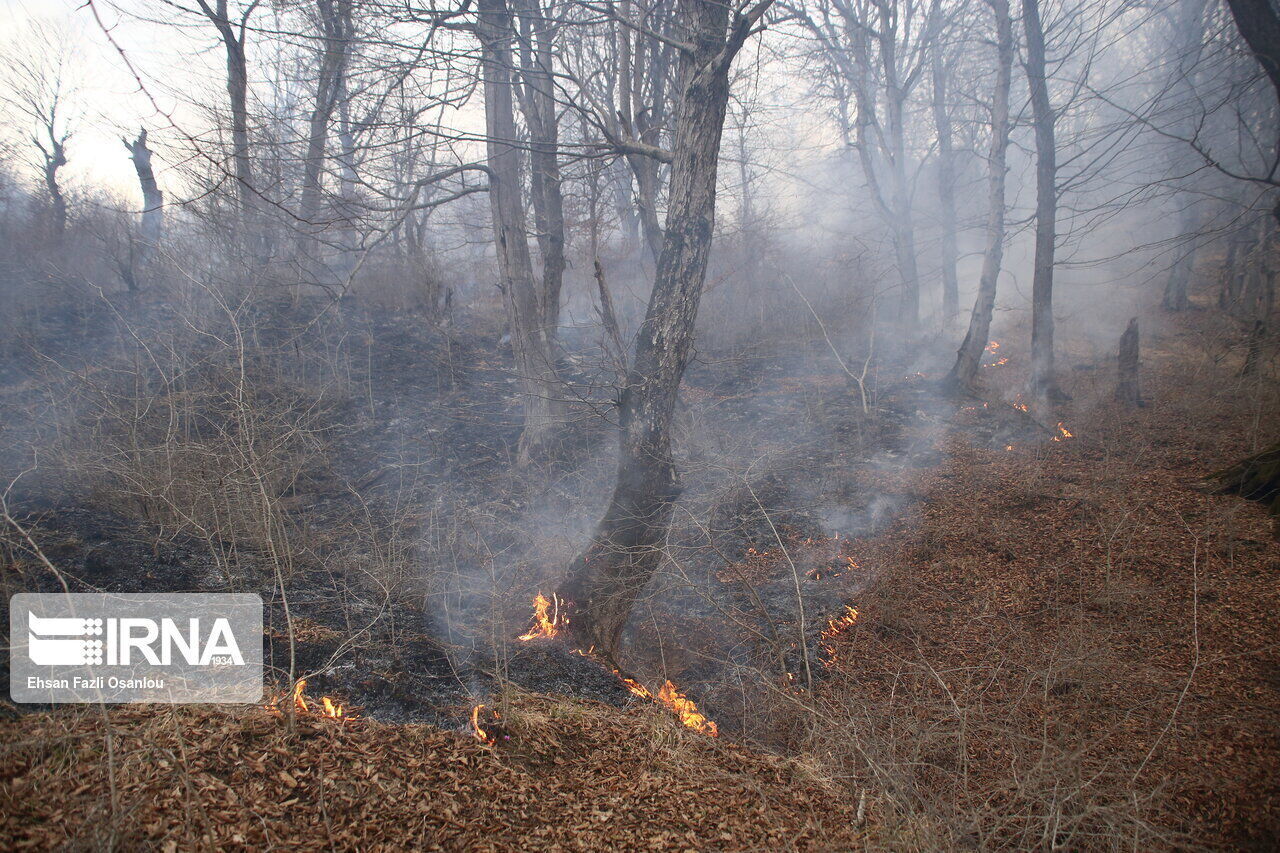 آتش‌سوزی در جنگل‌های مریوان مهار شد 