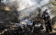 همیاران طبیعت، راه‌حل چالش آتش‌سوزی در جنگل‌های هیرکانی گلستان