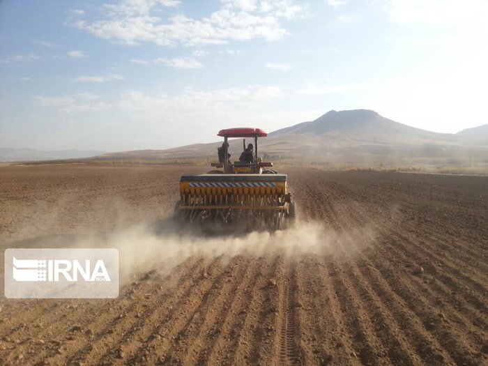 پنج هزار هکتار اراضی بوشهر زیر پوشش کشاورزی قراردادی رفت