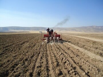 اجرای طرح کشت قراردادی در ۴۵۷ هزار هکتار از اراضی کشاورزی آذربایجان‌شرقی