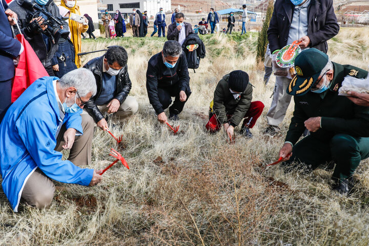 یک میلیون بذر در ارتفاعات شیراز کاشته می‌شود