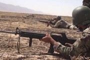وزارت دفاع افغانستان: ۹۳ عضو گروه طالبان کشته شدند