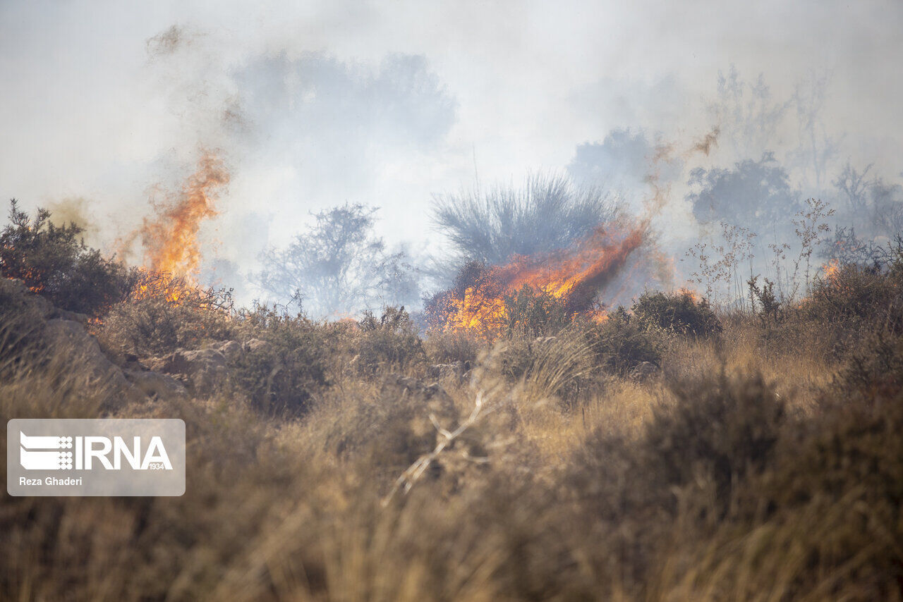 وقوع ۳۳ مورد آتش سوزی در مناطق حفاظت شده خوزستان