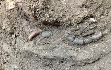 نشانه‌هایی از انسان شکارگر دوران باستان در غار هوتو کشف شد