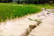 سیل ۴۴۱ میلیارد تومان به کشاورزان خراسان‌شمالی خسارت زد
